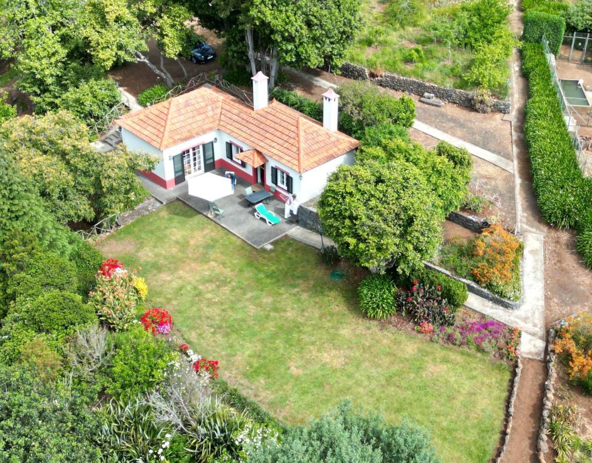 Quinta Das Faias Camacha  Exteriör bild