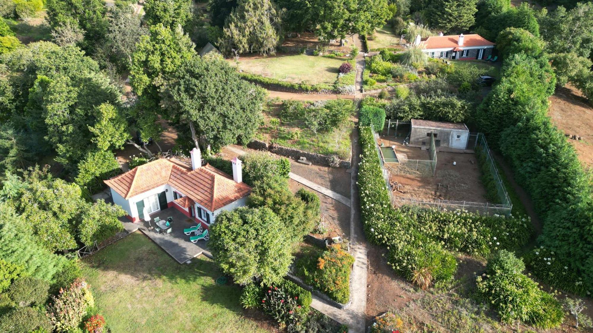 Quinta Das Faias Camacha  Rum bild