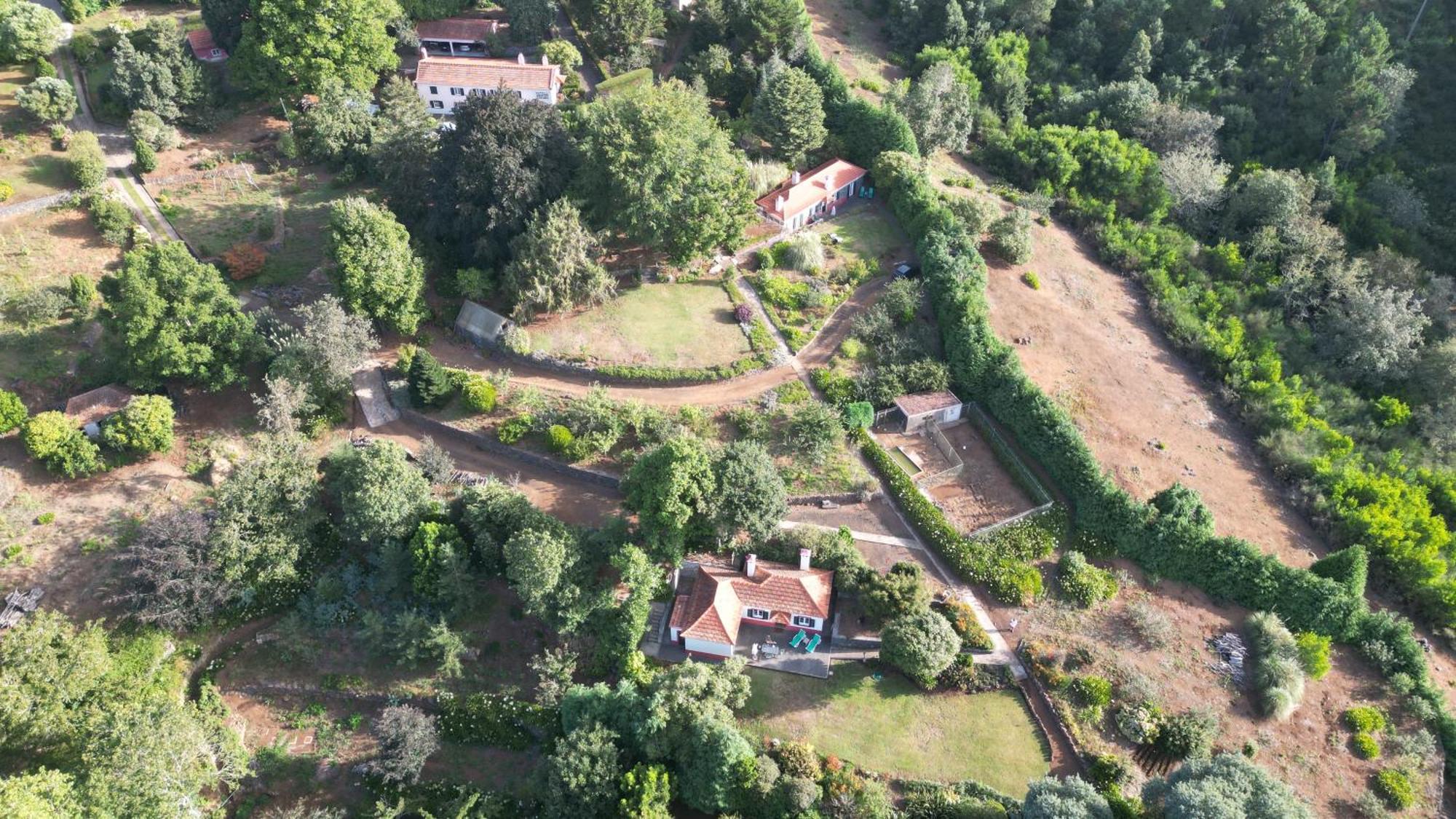 Quinta Das Faias Camacha  Exteriör bild