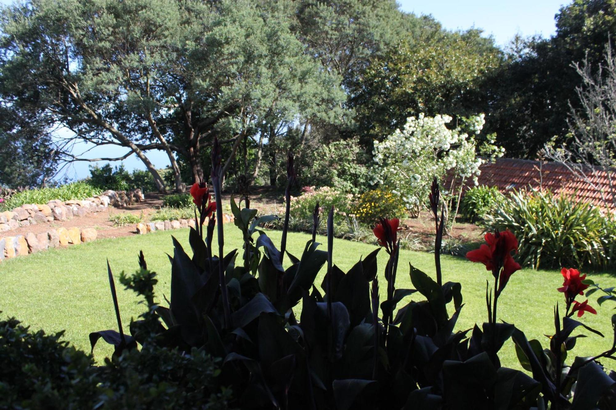 Quinta Das Faias Camacha  Rum bild