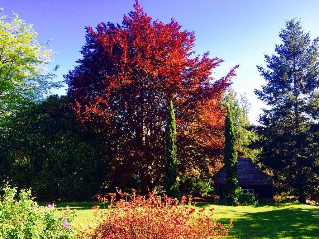 Quinta Das Faias Camacha  Exteriör bild