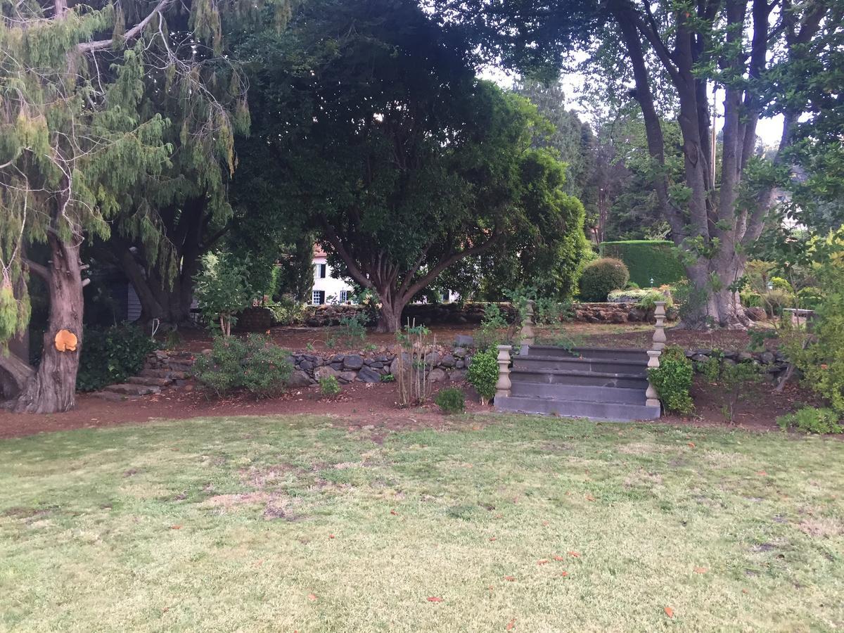 Quinta Das Faias Camacha  Exteriör bild