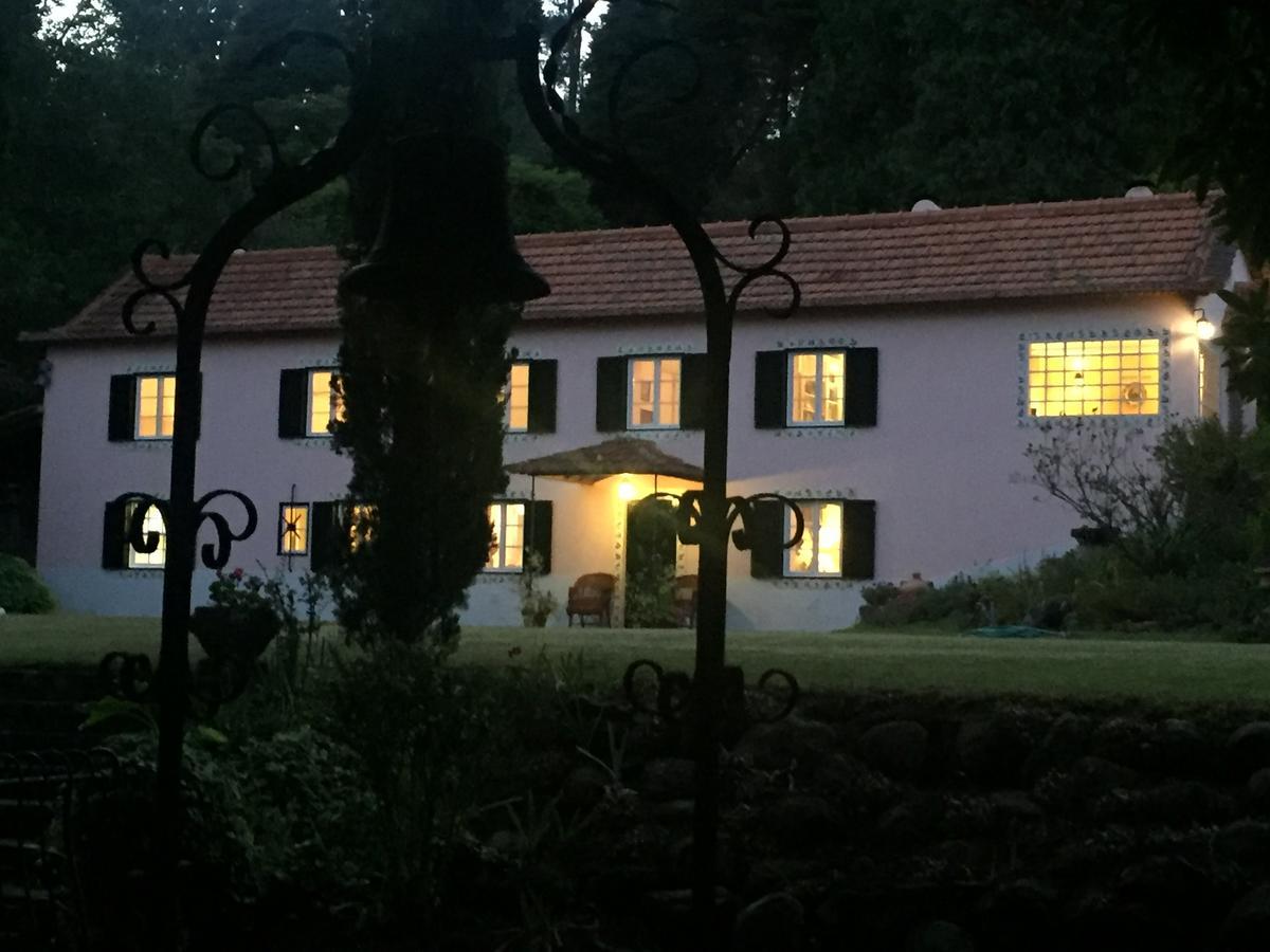 Quinta Das Faias Camacha  Exteriör bild