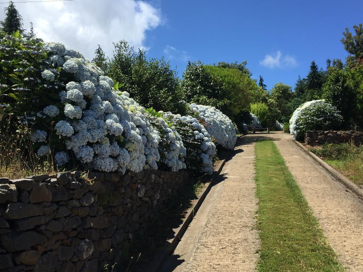 Quinta Das Faias Camacha  Exteriör bild