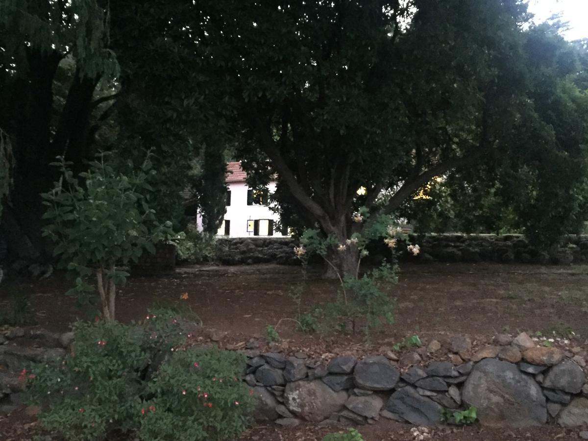 Quinta Das Faias Camacha  Exteriör bild