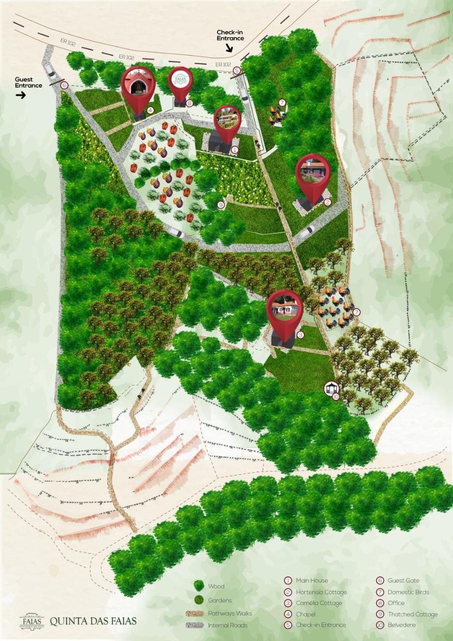 Quinta Das Faias Camacha  Exteriör bild